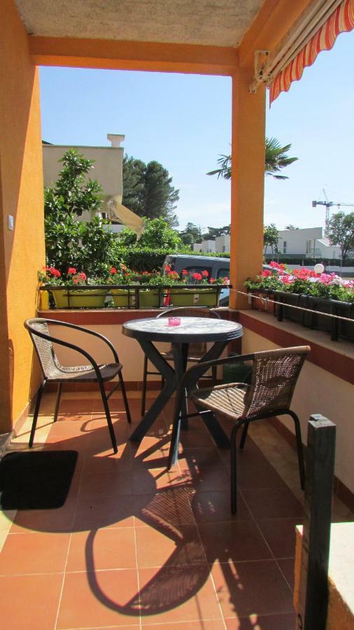 Apartmani Petunia 파자나 외부 사진